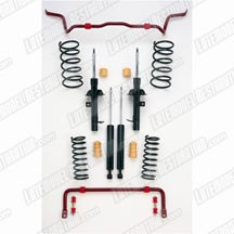 2007-13 Mustang GT500 Eibach Pro-System Plus