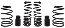 2005-13 Mustang V6 Sportline Lowering Spring Kit