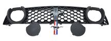 2013 Mustang Boss 302 Front Grille Kit