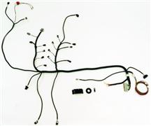 Ford Racing 5.0L Fuel Injection Retrofit Harness, M-12071-A50
