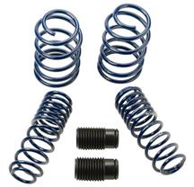 2005-13 Mustang GT Ford Racing Progressive Rate Lowering Spring Kit, M-5300-K